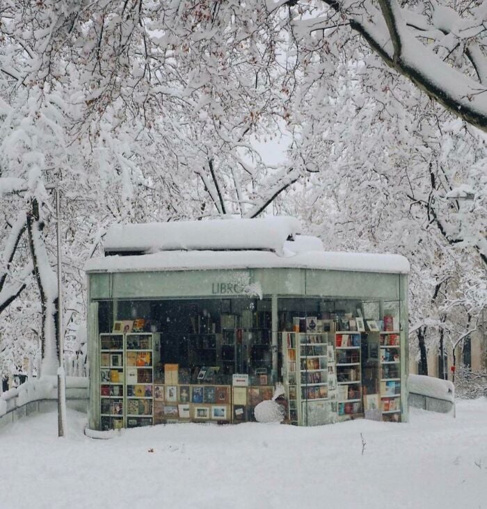 Edicola libraria accogliente e innevata circondata da alberi ghiacciati, che espone libri in un magico scenario invernale. Edicola libraria accogliente e innevata circondata da alberi ghiacciati, che espone libri in un magico scenario invernale.