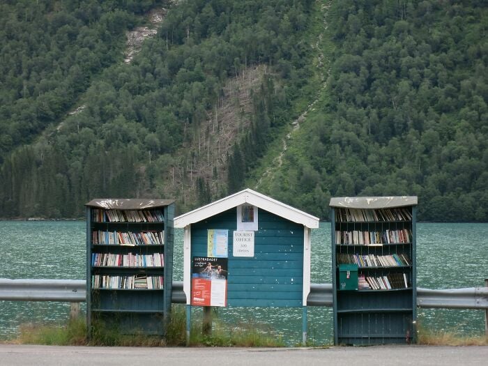 Scaffali di biblioteca all'aperto in riva al lago con libri accanto a un piccolo ufficio turistico blu, circondato da una lussureggiante foresta verde. Scaffali di biblioteca all'aperto in riva al lago con libri accanto a un piccolo ufficio turistico blu, circondato da una lussureggiante foresta verde.