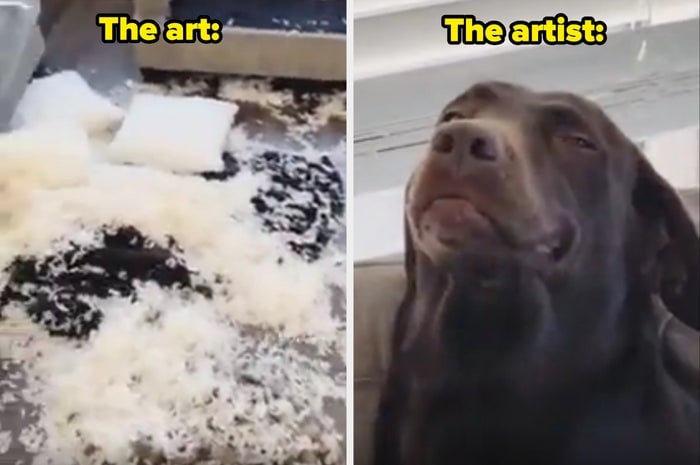 Izquierda: Coj&iacute;n roto con relleno por todas partes. Derecha: Perro sentado con expresi&oacute;n de culpabilidad. El texto dice "La obra: El artista:"