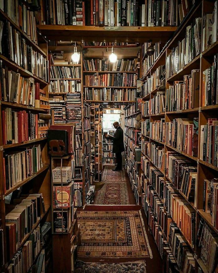 Cozy and grandiose library with tall wooden shelves filled with books and a person browsing in a magical bookstore setting. Cozy and grandiose library with tall wooden shelves filled with books and a person browsing in a magical bookstore setting.
