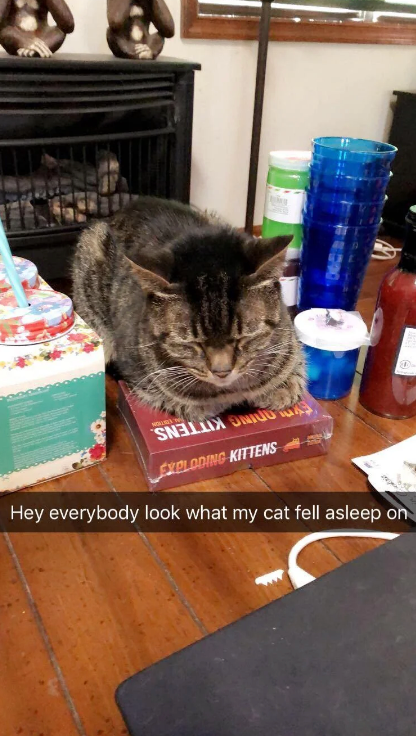 Un gato duerme sobre la caja del juego "Exploding Kittens", con el texto: "Oigan, miren d&oacute;nde se qued&oacute; dormido mi gato"